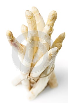 Asparagus bunch white