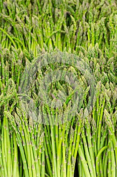 Asparagus bunches