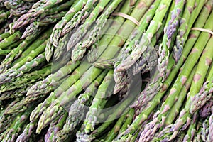 Asparagus bunches in market