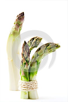 Asparagus bundle