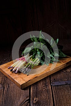 Asparagus bundle photo