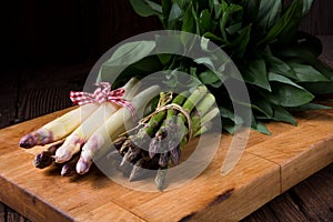 Asparagus bundle