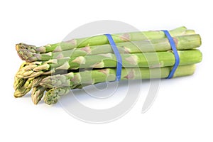 Asparagus bundle on white