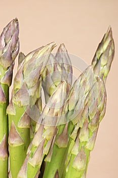 Asparagus close-up