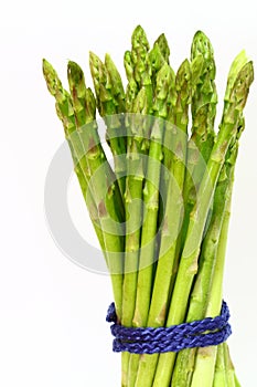 Asparagus close-up