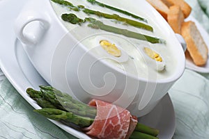 Asparagus cream soup with eggs closeup horizontal