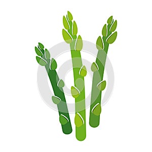 Asparagus. A dietary product. A vegetable with dense long stems.