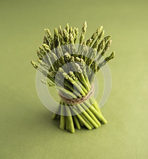Asparagus green art vegan monotones