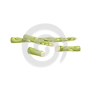 Asparagus green sprouts. Healthy farm fresh vegetables. Whole and cut Vegetarian eco food. Isolated on white background.