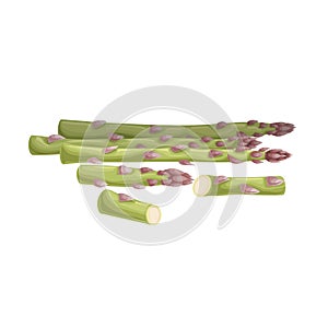 Asparagus green sprouts. Healthy farm fresh vegetables. Whole and cut Vegetarian eco food. Isolated on white background.