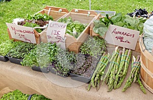 Asparagus and greens at outdoor market