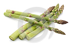 Asparagus Group photo