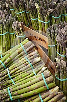 Asparagus - Market Stall