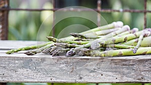 Asparagus with metallic lattice, wooden surface