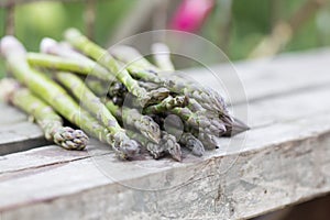 Asparagus with metallic lattice, wooden surface