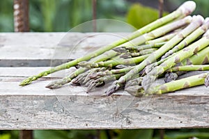 Asparagus with metallic lattice, wooden surface