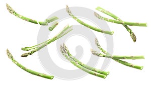 Asparagus a.officinalis shoots, paths, top