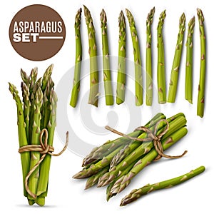 Asparagus Realistic  Set