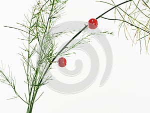 Asparagus with red berry