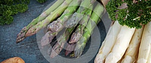 Asparagus seasonal vegetables