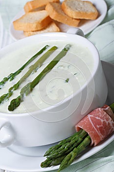 Asparagus soup closeup in white bowl and croutons