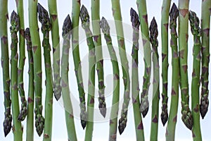 Asparagus spears background