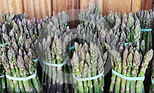 Asparagus Stems