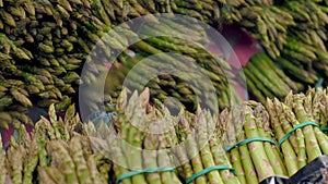 asparagus in supermarket. edible asparagus. grocery supermarket. supermarket. vegetables and fruits. grocery section in