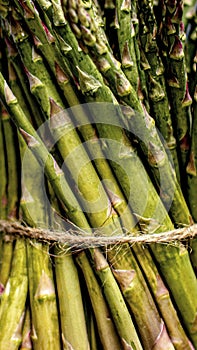 Asparagus tied in a bundle mobile wallpaper