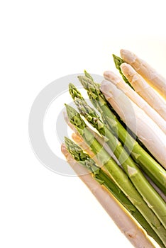 Asparagus tips isolated on white background photo