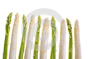 Asparagus tips isolated on white background photo