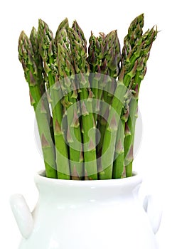 Asparagus Upright on White