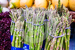 Asparagus At The Valencian Mercado Central