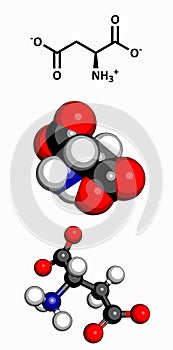 Aspartic acid (Asp, D, aspartate)amino acid, molecular model.Aspartic acid (Asp, D, aspartate) amino acid molecule photo