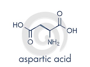 Aspartic acid L-aspartic acid, Asp, D amino acid molecule. Skeletal formula. photo