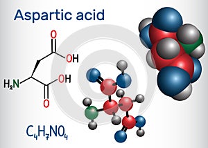 Aspartic acid L- aspartic acid, Asp, D, aspartate proteinogenic amino acid molecule. Structural chemical formula and molecule photo