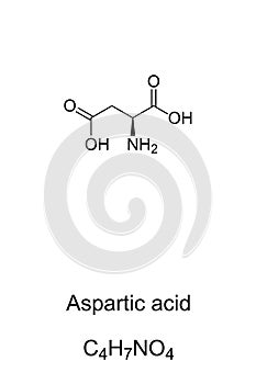 Aspartic acid molecule, skeletal formula photo