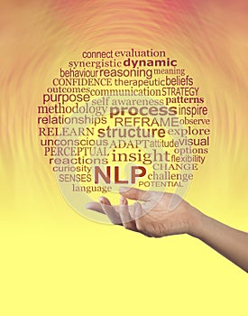 Aspects of Neuro Linguistic Programming NLP word cloud -