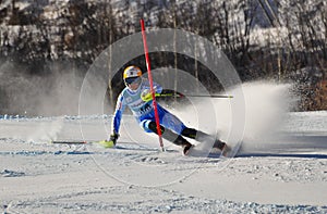 Aspen, CO - Nov 27: Frida Hansdotter at the Audi Q