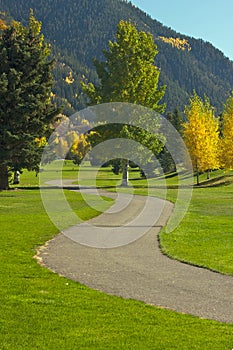 Aspen Golf Course with Pines