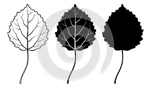 Aspen leaf. Vector illustration. Outline, silhouette, line art drawing