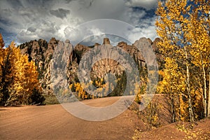 Aspen Leaves Changing Color