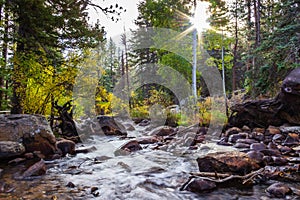 Aspen leaves turning to fall colors creekside