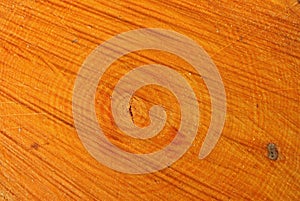 Aspen Log Growth Rings Background