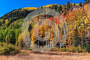 Fall colors in the San Juan Mountains near Durango, Colorado photo