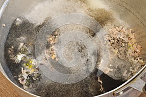 Aspergillus mold on food. Texture of toxic mold with black, whit