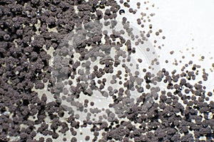 Aspergillus mold under microscopic view for education
