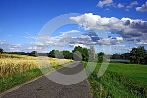 Asphal road in nature