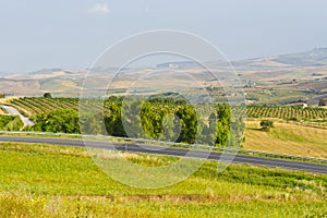 Asphal Road in Sicily