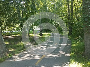 Asphalt biking trail with trees and a shortcut path through the grass